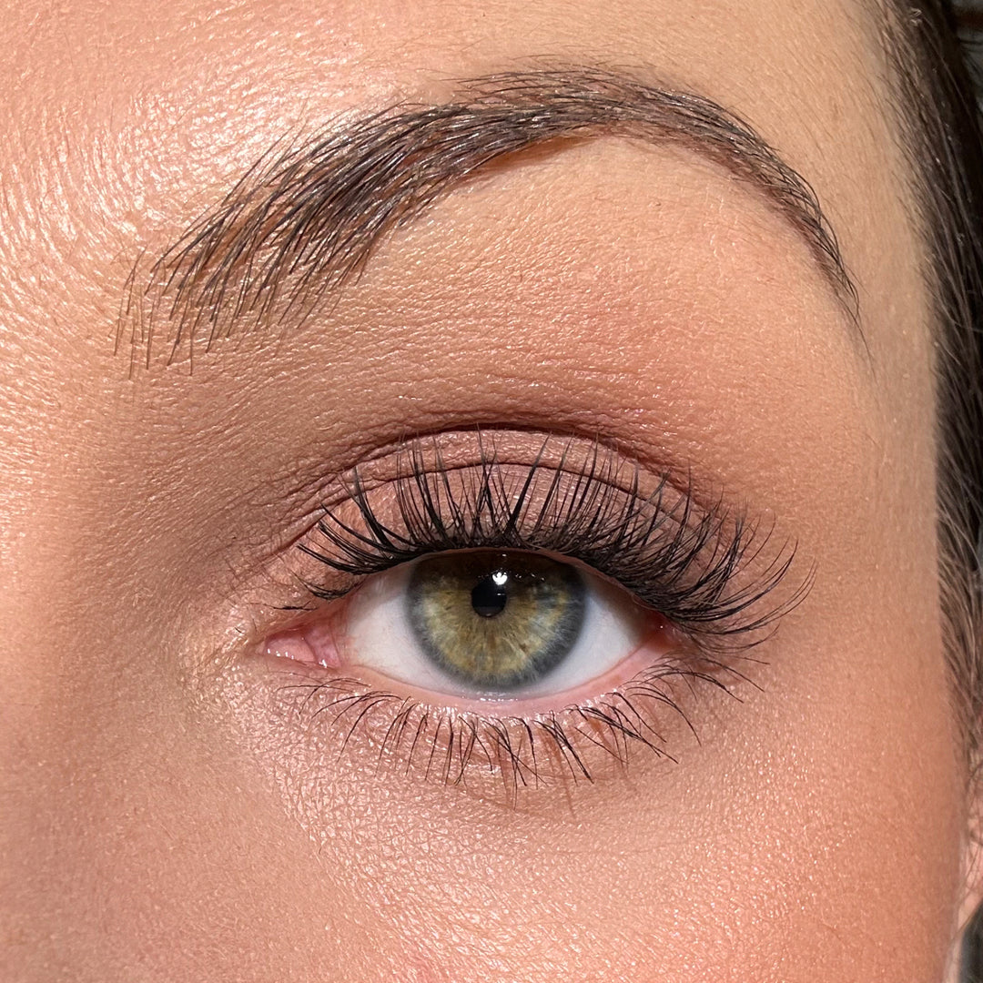 Starter Kit - Stella